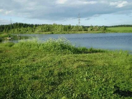 Савельево