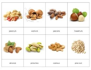 Nuts model. Nuts model