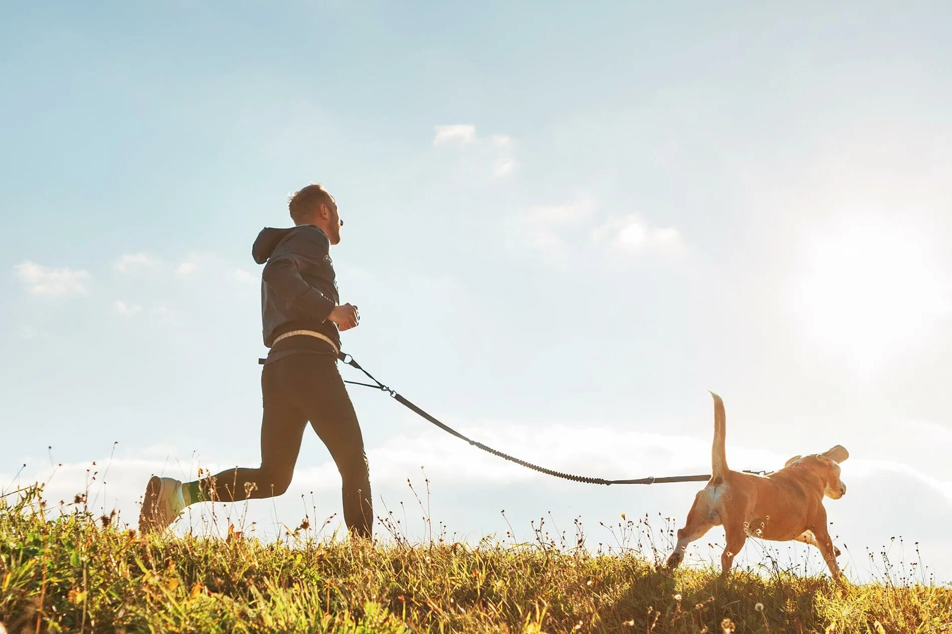 Getting walked