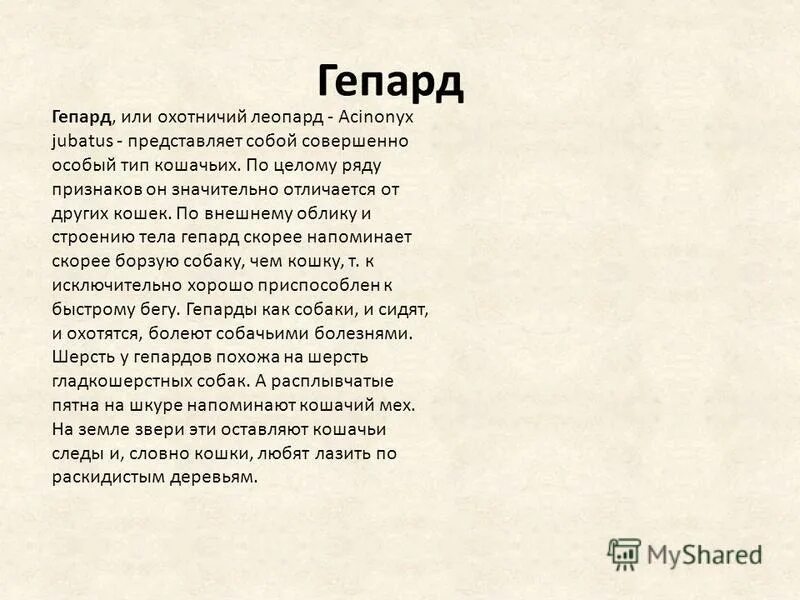 Песня панда бегу от гепарда. Гепарда песня текст. От гепарда текст песни. Текст песни мы бежим с тобой как будто от гепарда. Песня про гепарда слова.