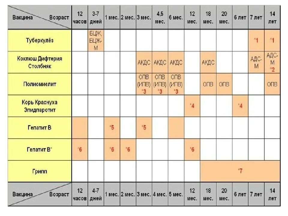 Календарь прививок б. Совместимые прививки. Календарь прививок. Совмещение вакцин. Прививки совместимость.