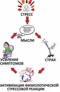 Что такое медвежья болезнь