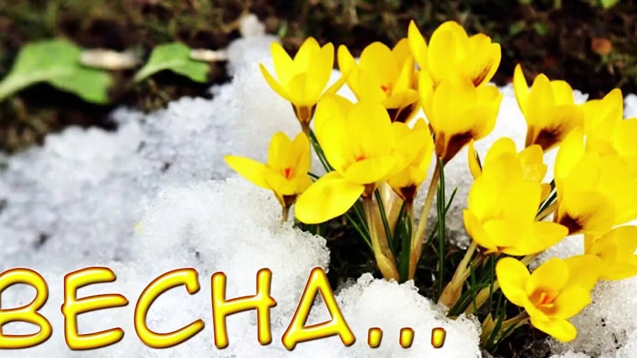 Позитивчик (фото, видео, рассказы для хорошего настроения)