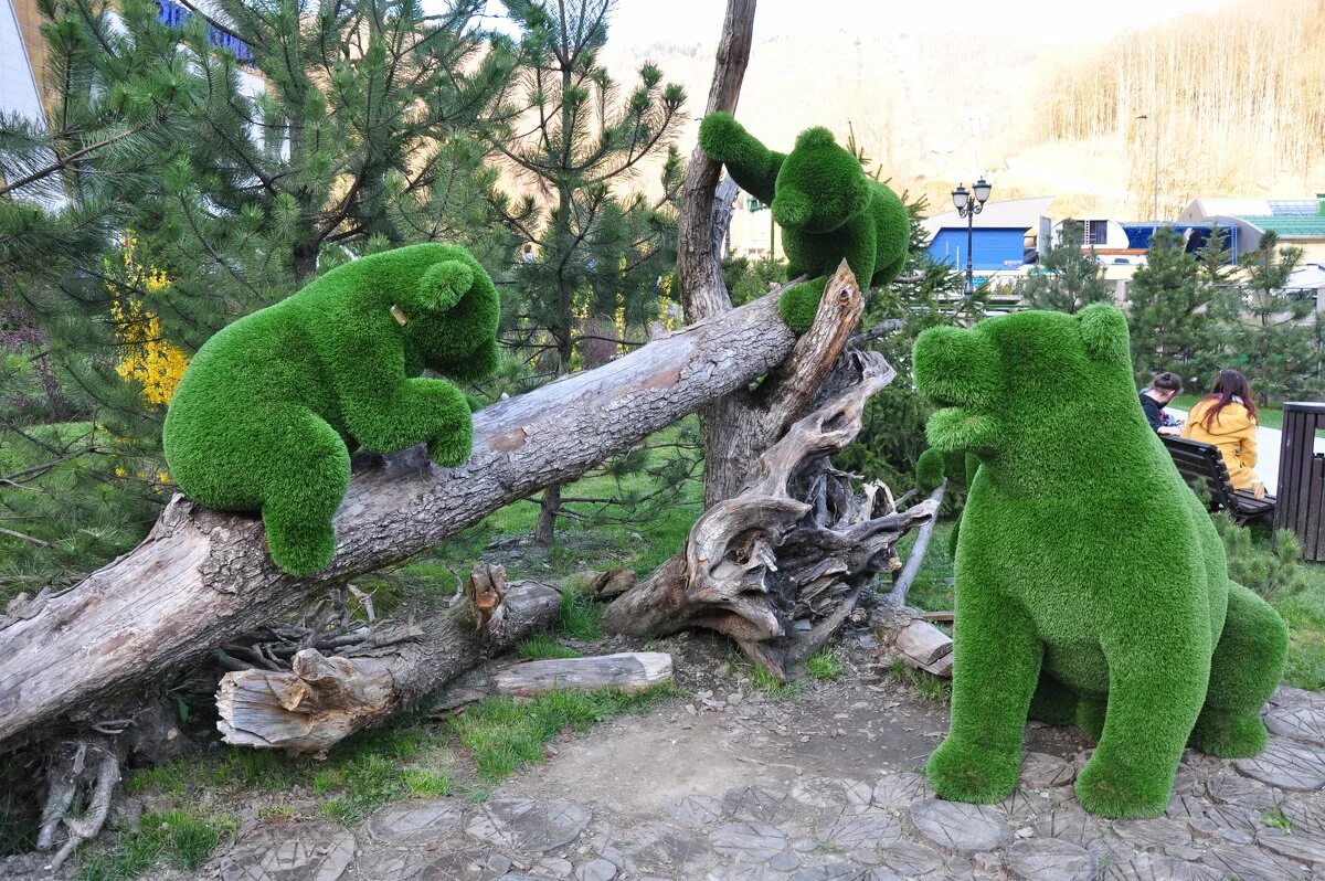 зоологический музей the green planet дубай. зеленый зоопарк. хамелеон в зоопарке. парк зелёная планета в сочи. зеленая планета (the green planet) дубай.