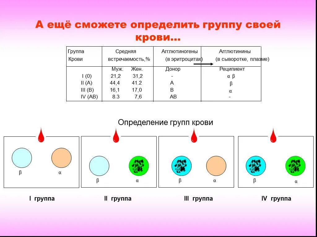 Схема групп крови. Группы крови человека схема. Схема смешения групп крови. Как узнать группу крови схема.