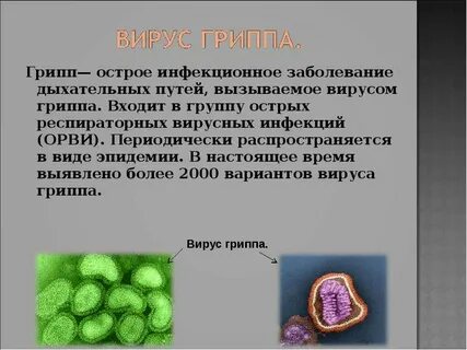 Проект гриппа