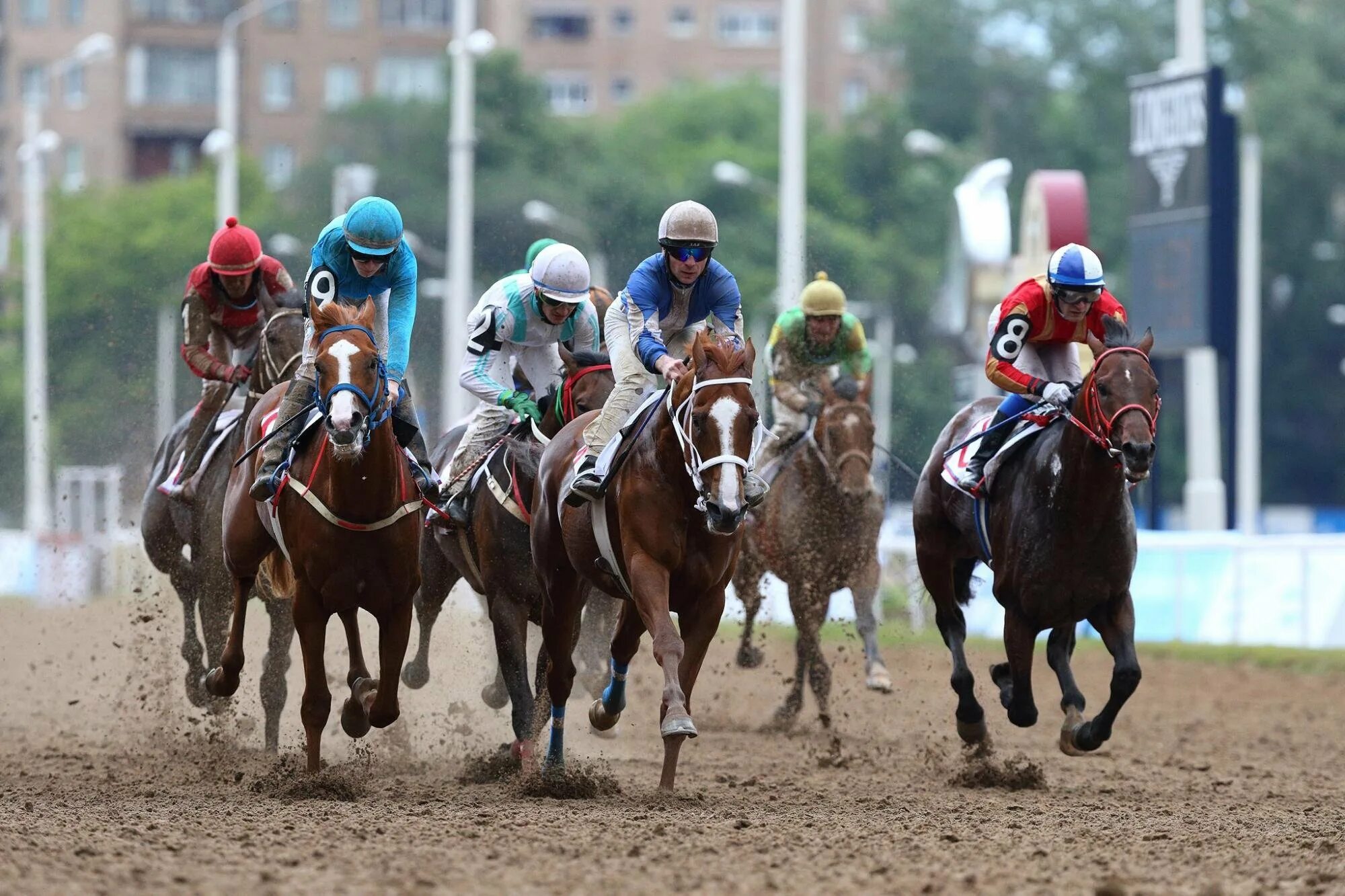Скачки на ипподроме в москве. Ипподром казань скачки. Лошадь на скачках. Скачки сегодня. Скачки сегодня.