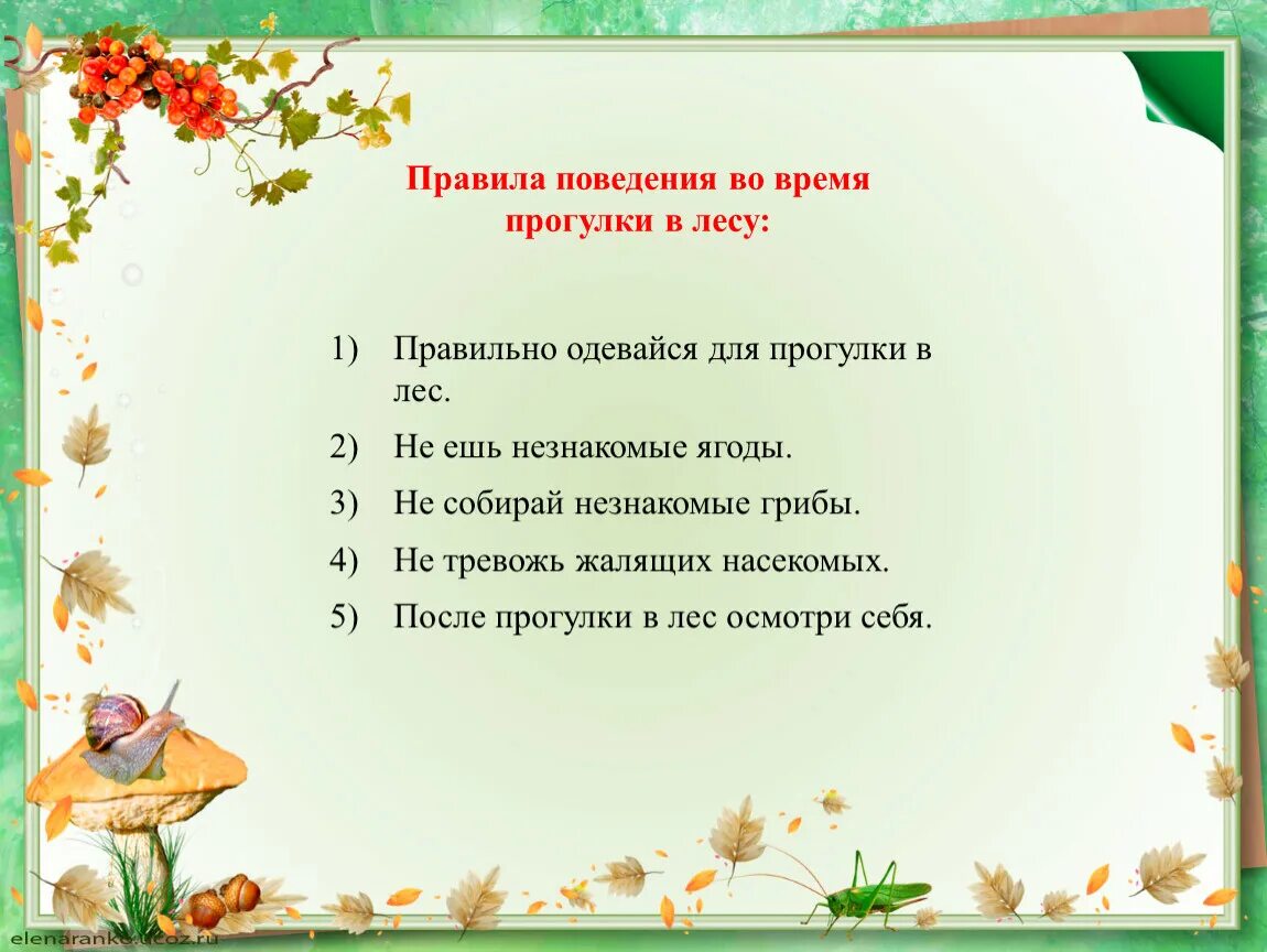 Правила поведения во время прогулки в лесу. Лесные опасности презентация. Лесные опасности презентация 2 класс школа России. Правила в лесу во время прогулки. Лесные опасности 2 класс окружающий мир презентация