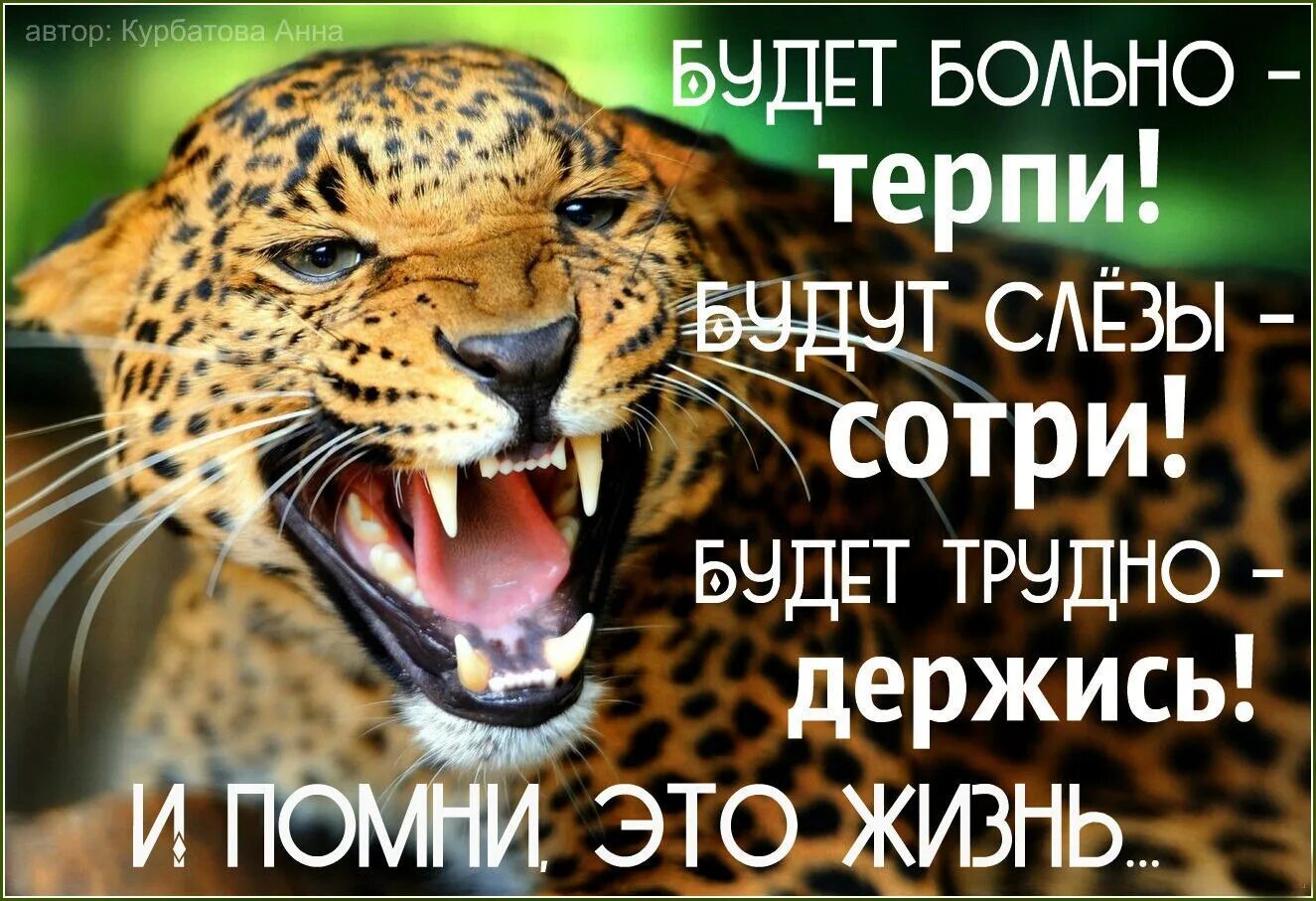 Терплю цена. Будет трудно держись Помни жизнь это жизнь. Будет больно терпи будут слёзы. Будет трудно держись будет больно терпи. Если будет трудно держись ,если будут слезы Сотри.