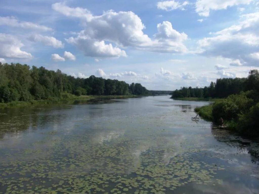 Подмосковный город в честь реки. Река Пехорка в Балашихе. Река черная Балашиха. Речка черная Московская область Балашиха. Речюка чёрная Балашиха.