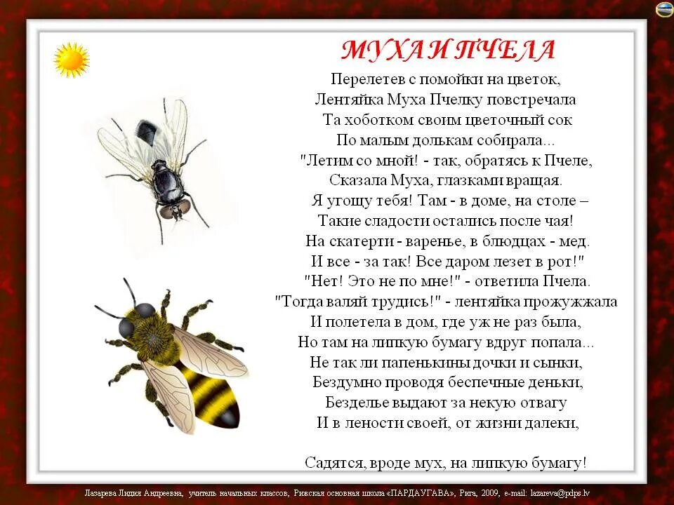 Пчела на подсолнухе фото. Пчела собирает нектар. Пчела на цветке. Bee wallpaper. Пчела собирает пыльцу.