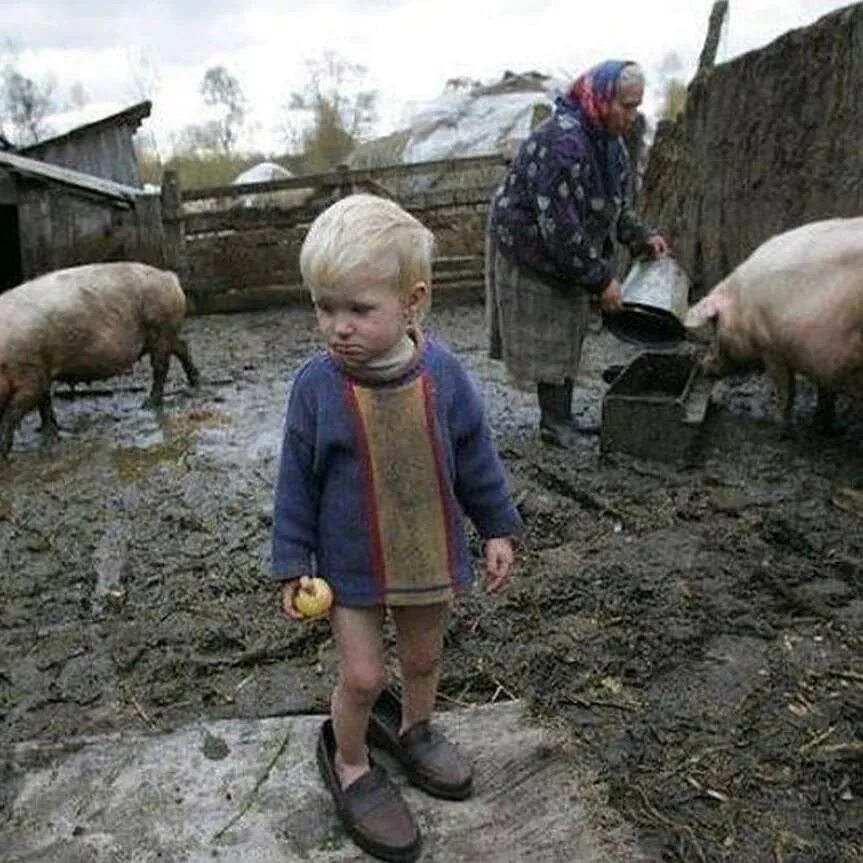 Внук приехал в деревню
