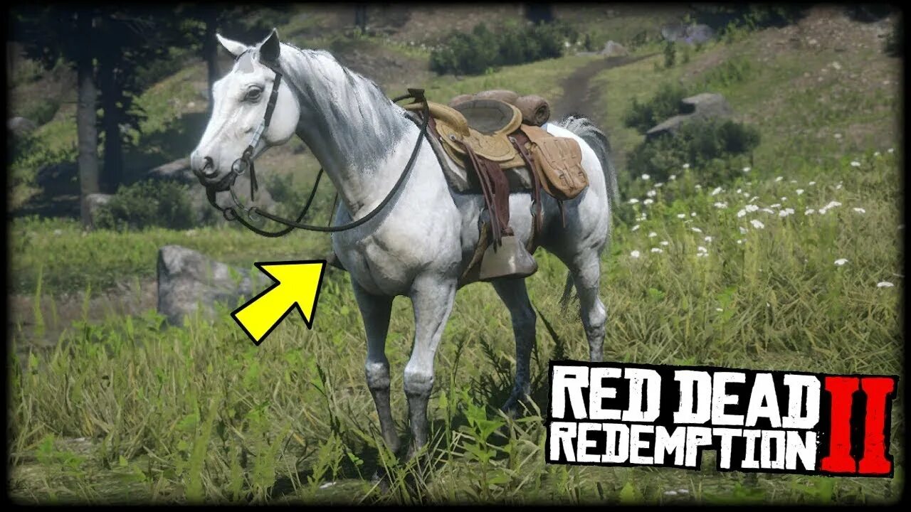 Red Dead Redemption 2 арабская лошадь. Red Dead Redemption арабский скакун. Red Dead Redemption 2 белый конь. Red Dead Redemption 2 белая арабская лошадь. Рдр 2 где найти арабскую лошадь