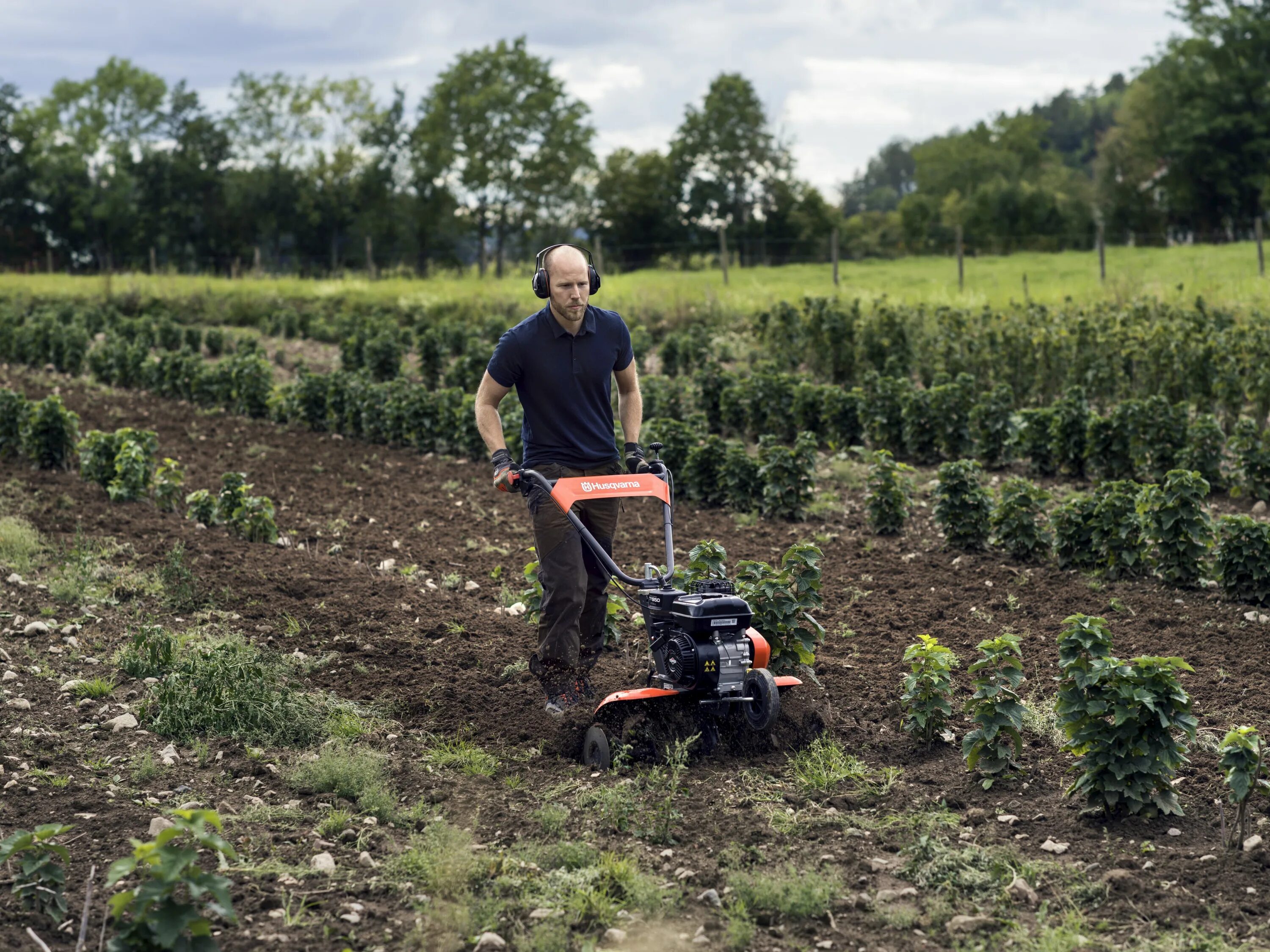 Вспахать участок мотоблоком цена. Культиватор бензиновый Хускварна. Husqvarna TF 335. Культиватор Husqvarna 6.0. Вспашка мотоблоком Хускварна.