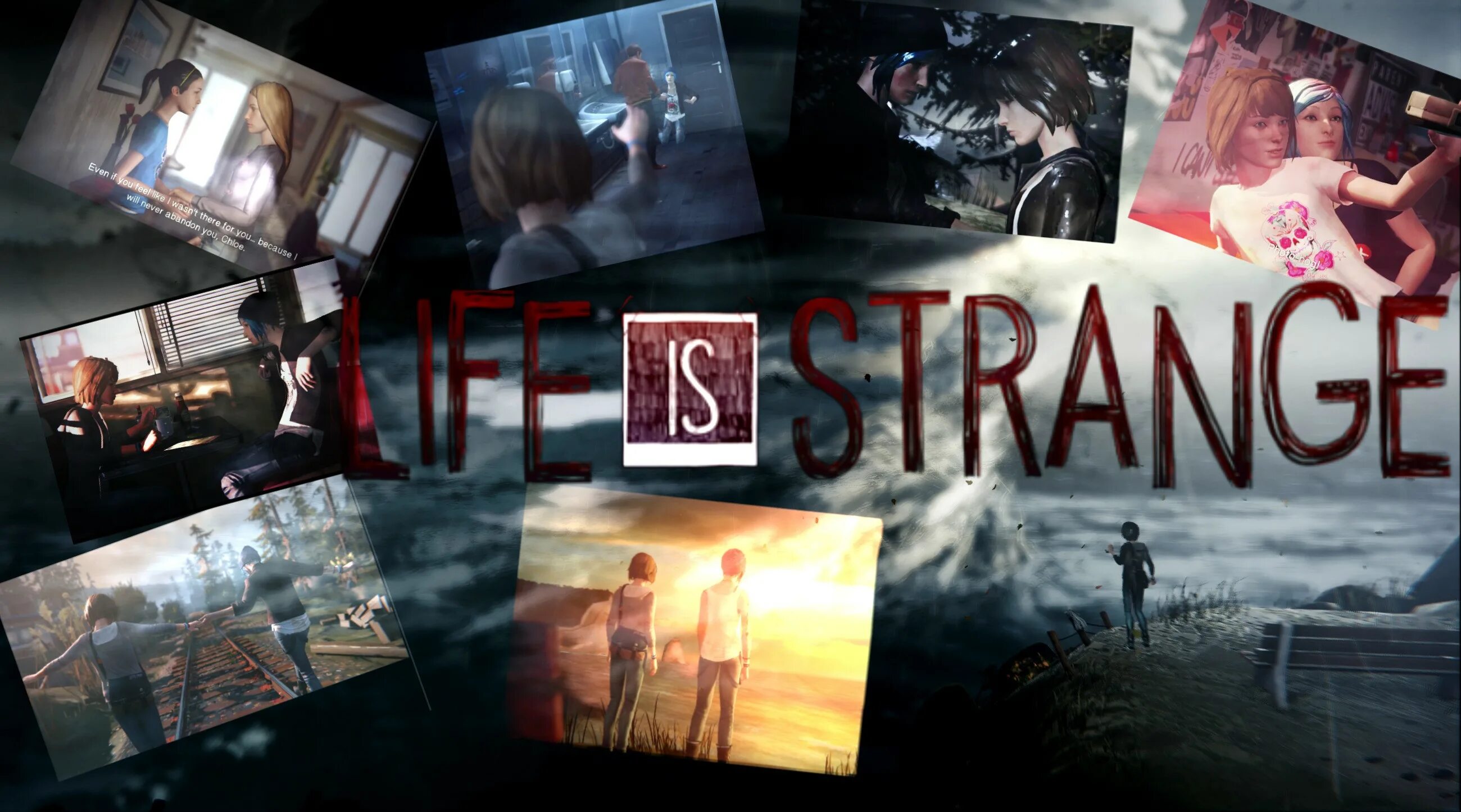 Life is Strange. Life is Strange 1 Макс коулфилд. Life is Strange картинки. Life is Strange заставка.