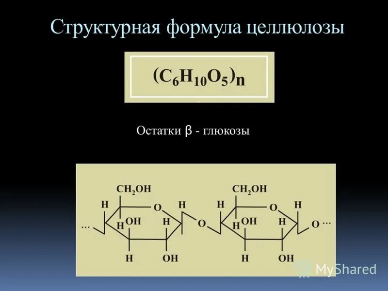 Сходства и различия крахмала и целлюлозы