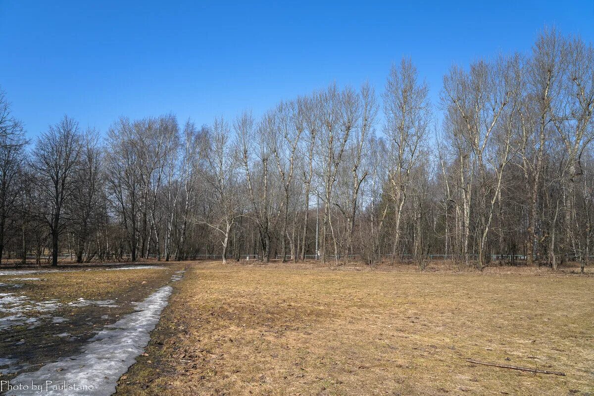весеннее серое небо. бьющий в апрельское небо над припятью. 26. 26. фото природы.