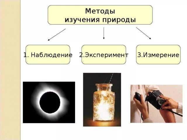 Практические методы изучения природы