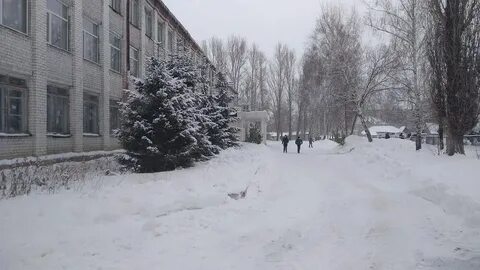 Школа снегов