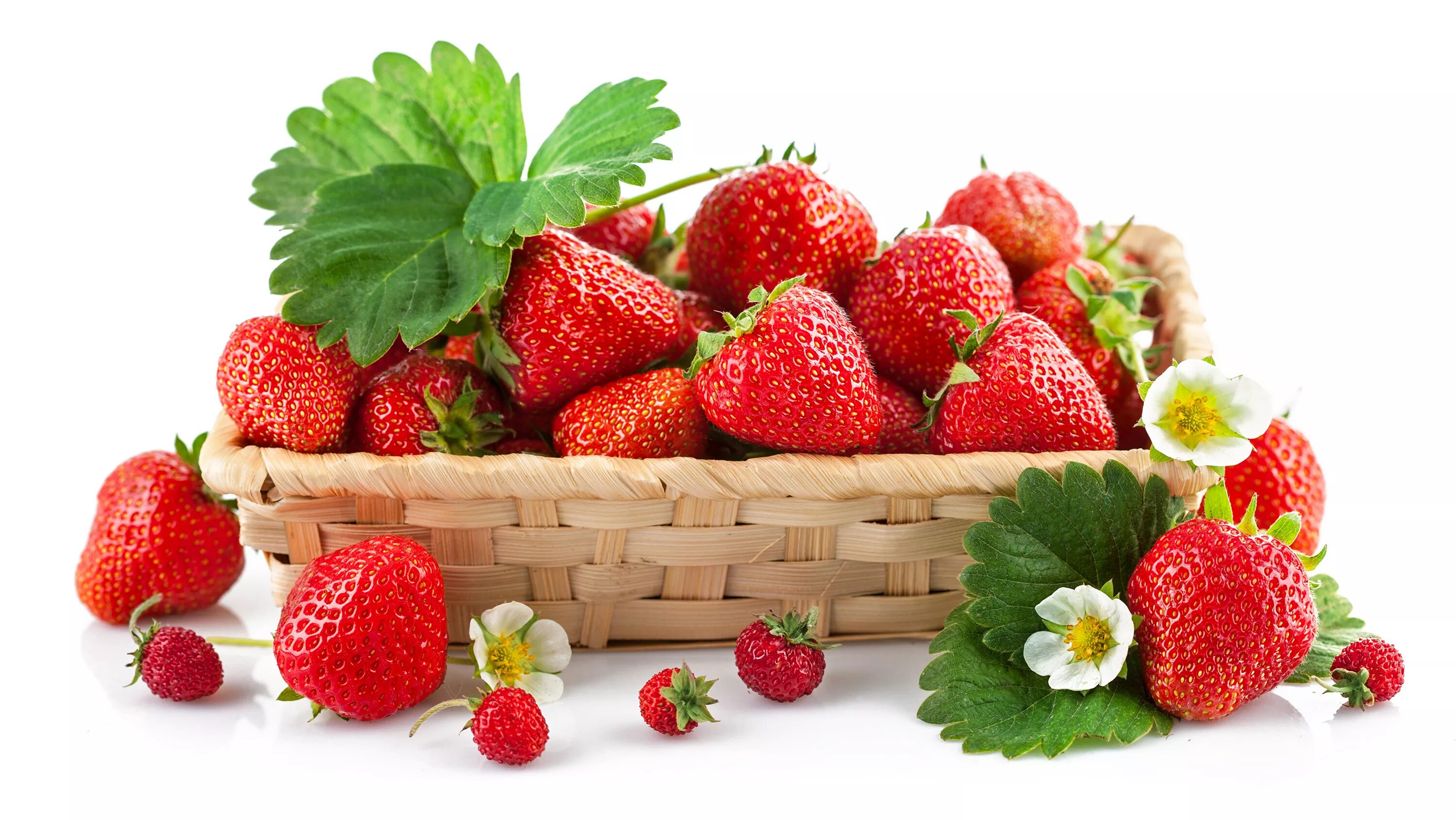Strawberry flowers