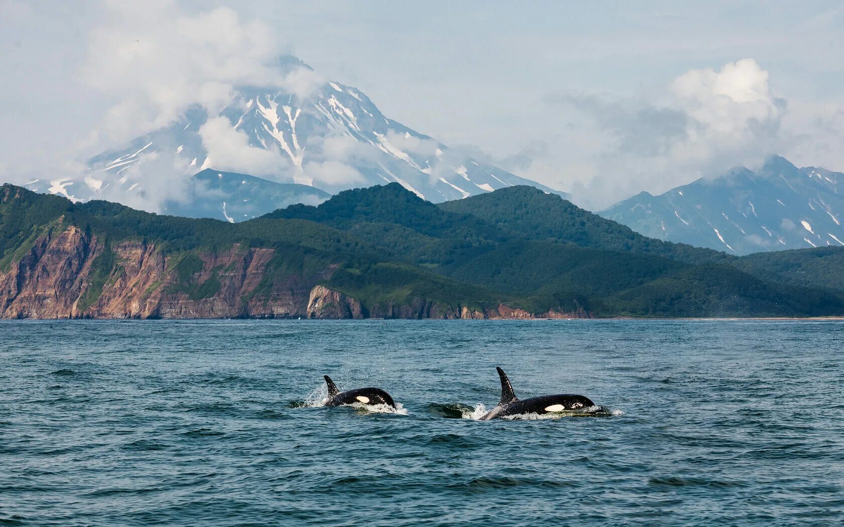 Петропавловск-камчатский гора. Авачинская бухта, камчатский край. Ключевской природный парк дальний восток. Озеро толбачик камчатка. В самых дальних странах дальнего востока.