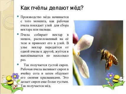 Что она делает пчела