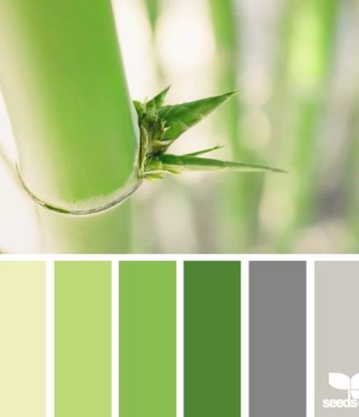 Pin on сочетание цвета Green colour palette, Color palette, Color schemes
