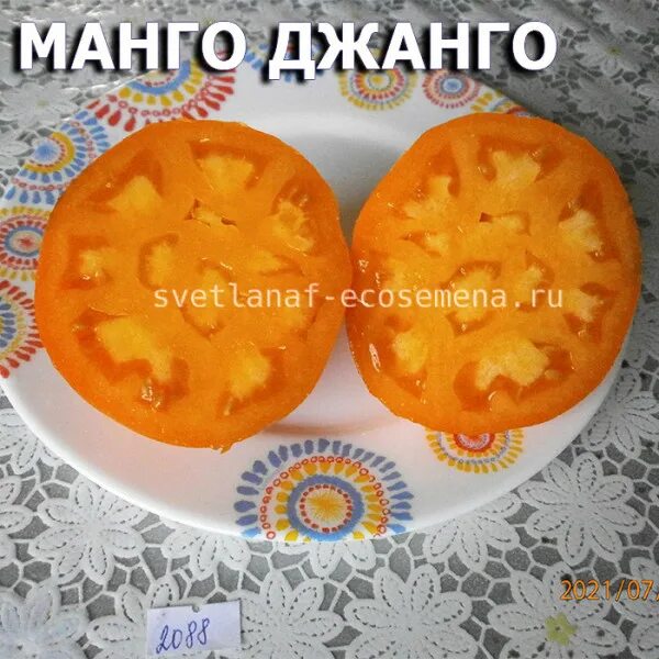 Манго томат описание сорта. Томат манго джанго. помидоры сорт манго джанго. томат манго джанго в разрезе. томат манго джанго характеристика и описание сорта.