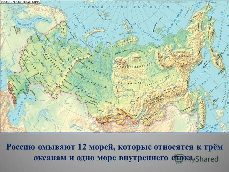 Моря омывающие Россию на карте. Карта России с морями и Океанами. • Названия океанов, омывающих территорию России;. Моря которыми омывается территория России.