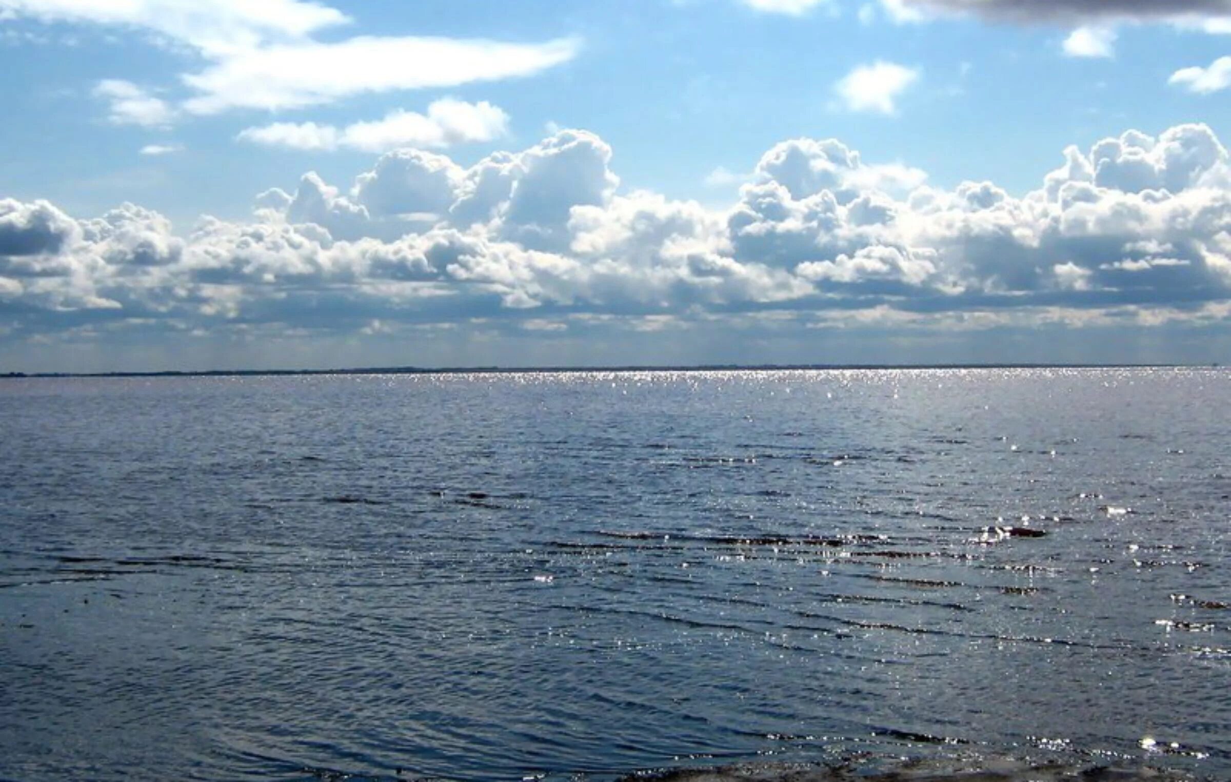 Самое большое озеро края. Кулундинское озеро Алтайский край. Кулундинское соленое озеро. Кулундинское озеро на Алтае. Озеро большое Кулундинское Алтайский край.