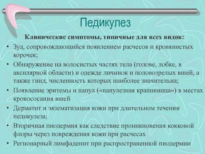 Педикулез в приемной. Клинические проявления педикулеза. Клинические симптомы педикулеза. Перечислите основные симптомы педикулеза.