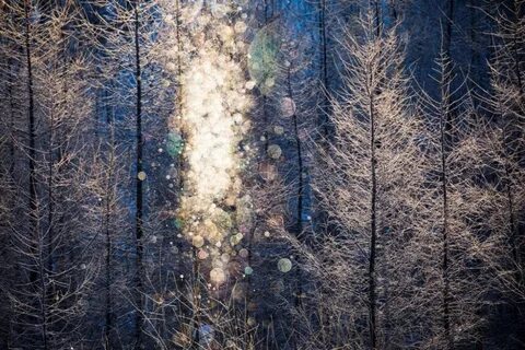 Алмазная пыль