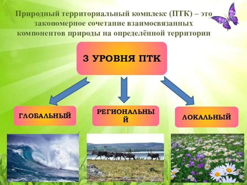 Что относится к природным компонентам. ПТК природно территориальный комплекс. Три главных уровня природных комплексов это. Локальные природные комплексы. Природно-территориальный комплекс локальный.