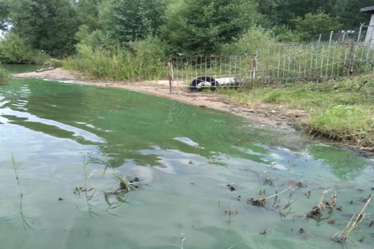 Почему вода рыбинск. Почему вода рыбинск