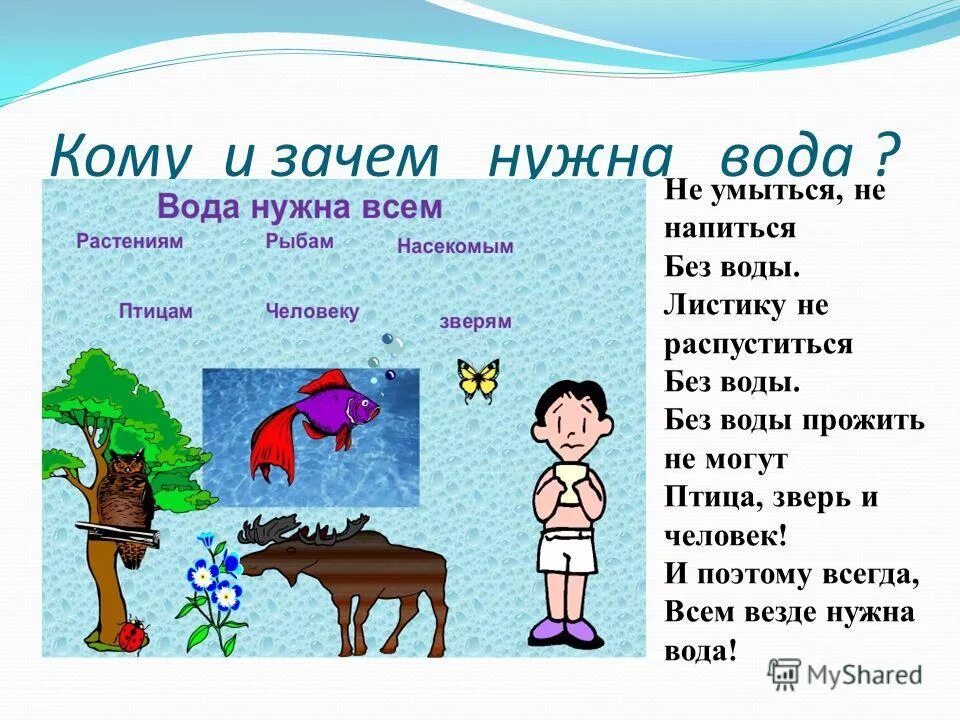 Для чего вода животным окружающий мир. Зачем нужна вода. для чего нужна вода человеку. для чего нужна вода для дошкольников. почему человеку нужна вода.