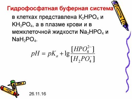 Буферная емкость фосфатной буферной системы