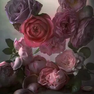 Nick rose