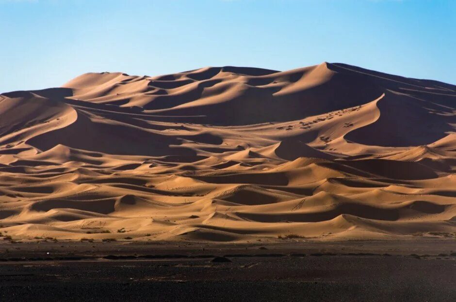 Famous Desert. The Sahara or the Gobi Desert.