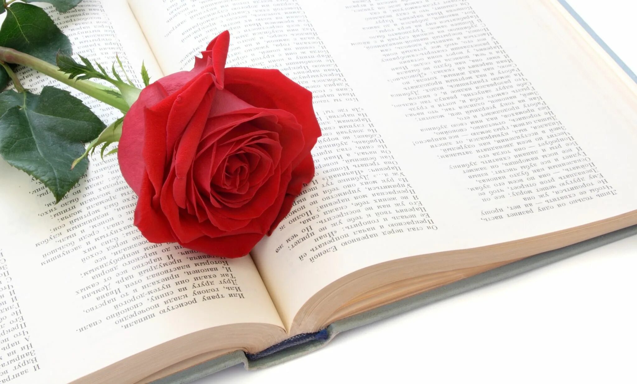 Стих цветы книги. Пушкин цветок засохший безуханный. Красивое оформление книги. Раскрытая книга стихов. Красивые книги.