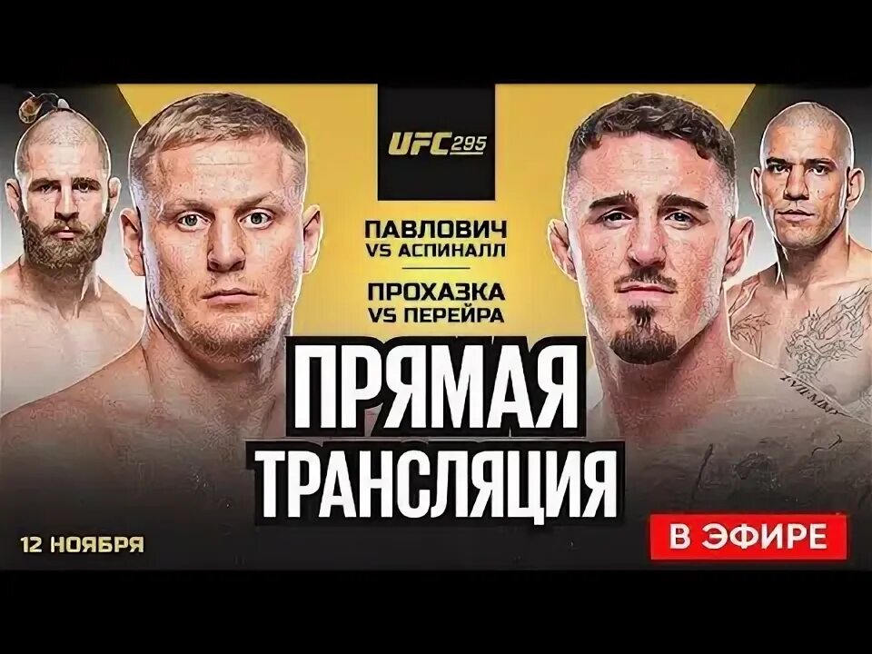 Ufc 295 павлович vs аспинэлл. Ufc 295 павлович vs аспинэлл