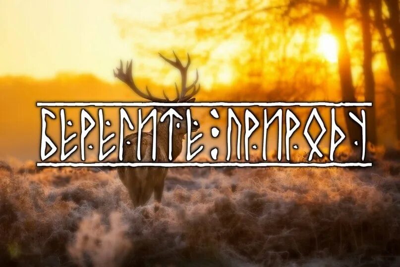 Доброе утро русь. С добрым утром русь. доброе утро на древнерусском. объединение славян. утро на руси.