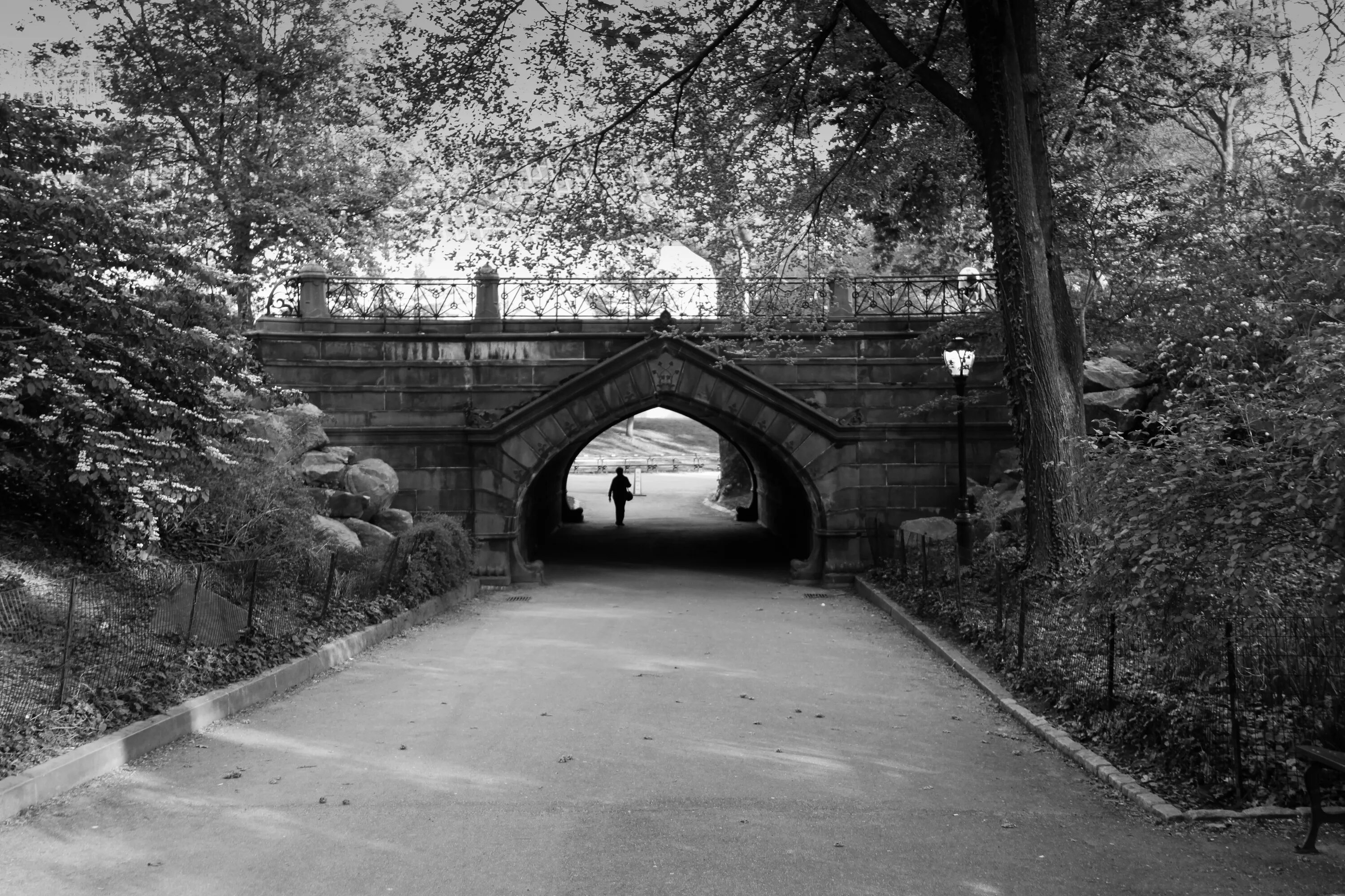 Есть в старом парке черный. Готический мост в Центральном парке Нью-Йорка. Мост в Старом парке Нью-Йорк. Парки чб красивые. Парк в черно белом цвете.