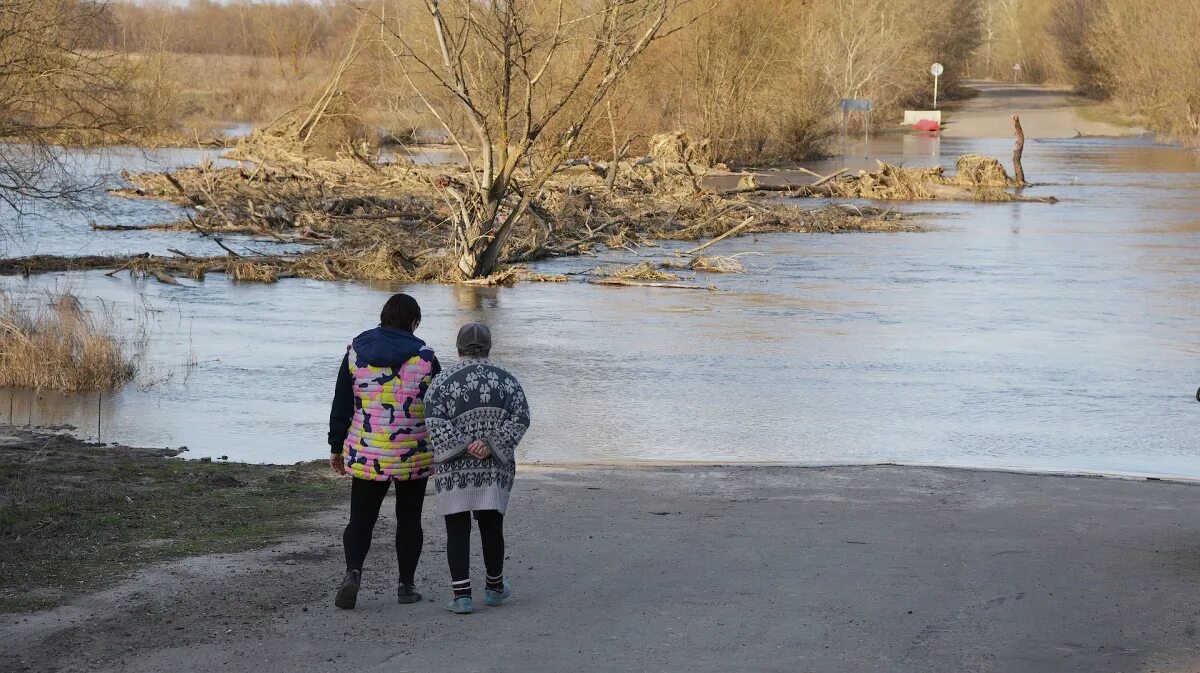 Половодье в воронежской области 2024. Половодио в Воронежской области. Савала река Воронежская. Паводок. Весенний паводок.