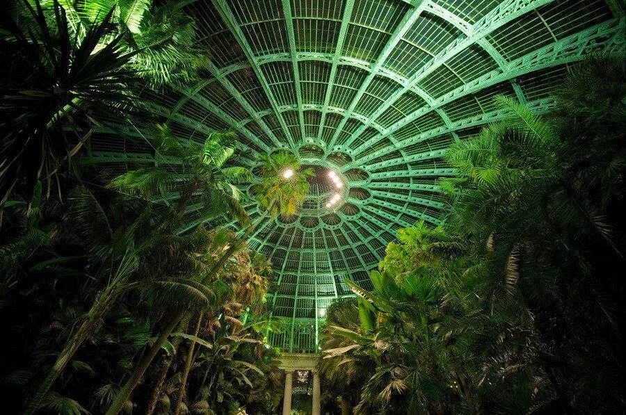 Оранжерея ночью. Королевская оранжерея в лакене (royal greenhouses at laeken), брюссель. оранжерея витацикл. фэнтези арт оранжерея оранжерея.
