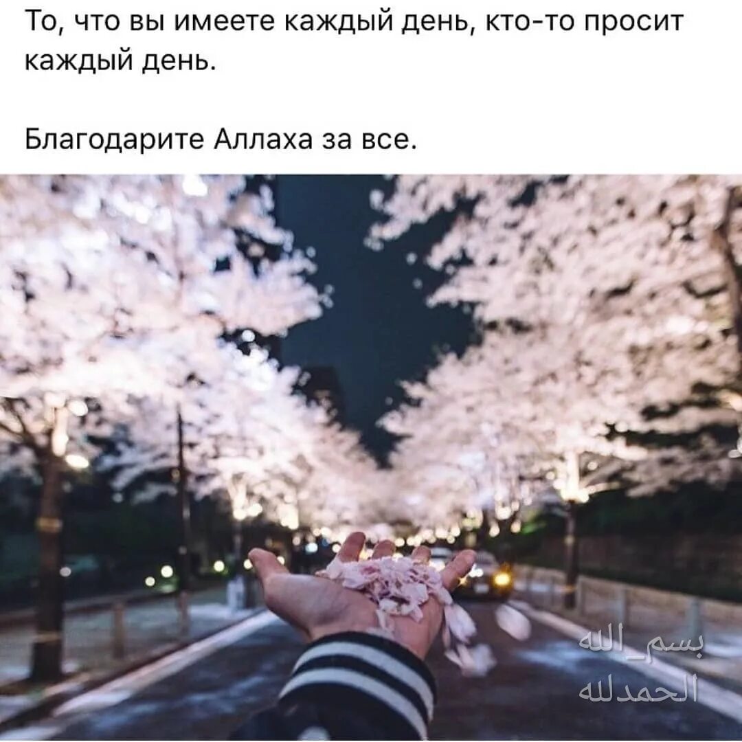 Настоящее ради будущего. Прошлое ради будущего. нужно ради будущего завязывать с прошлым.