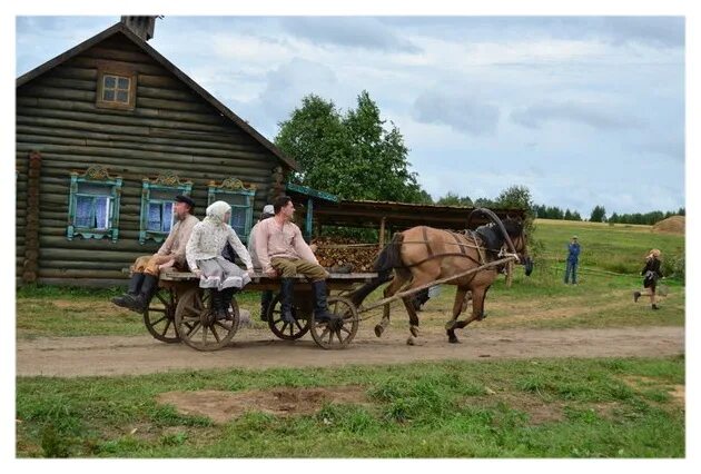 осел в упряжке. лошади в деревне. повозка с лошадью в деревне. телеть. сельские жители.