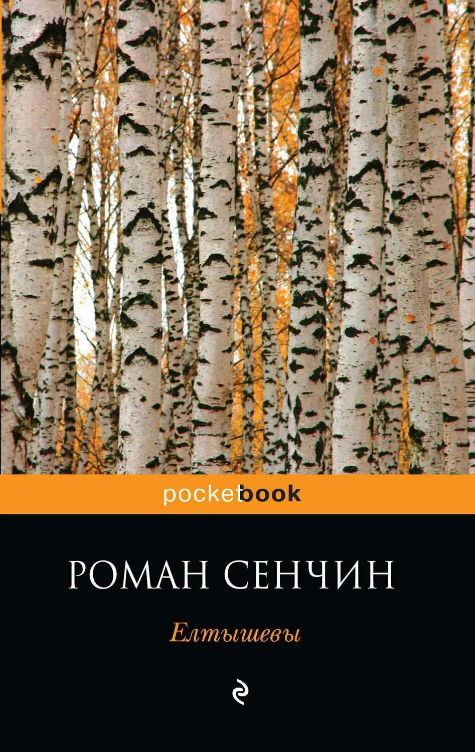 Сенчин елтышевы. Сенчин елтышевы. Елтышевы книга. Елтышевы книга. Сенчин елтышевы.