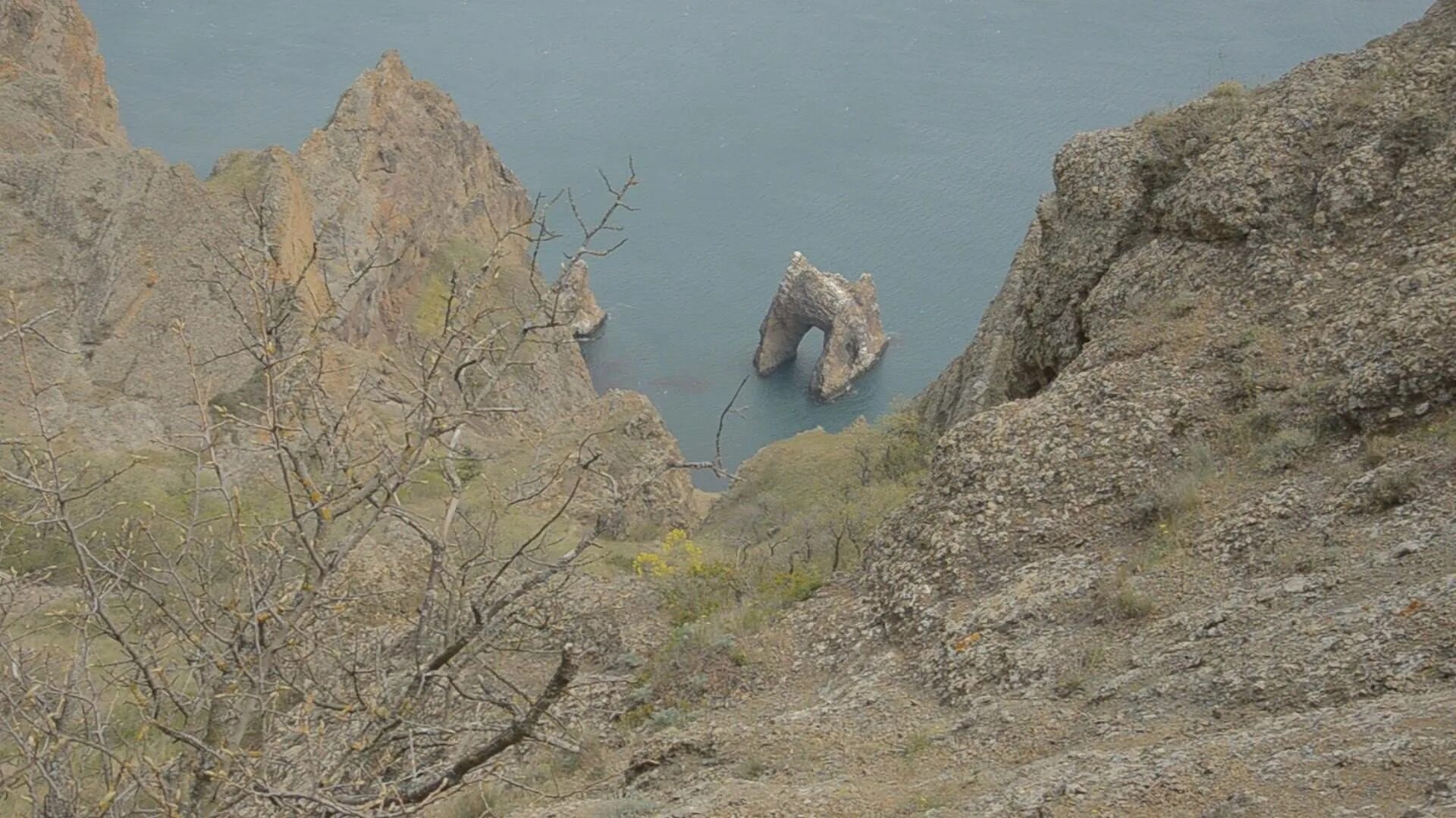 Коктебель Карадагский змей. Карадагский змей в Крыму. Крымское чудовище Карадагское. Карадагский монстр в Крыму. Карадагские змеи в анапе