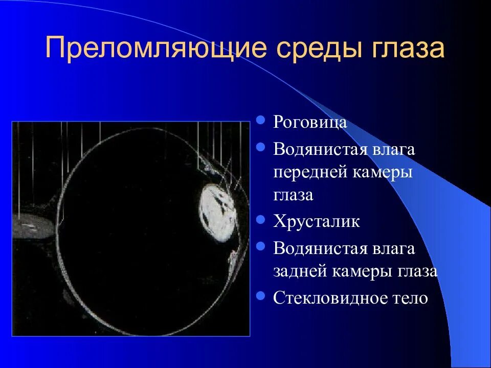 Преломляющие среды глаза. Преломляющие среды глазного яблока. преломляющие структуры глазного яблока. перечислите преломляющие среды глаза.