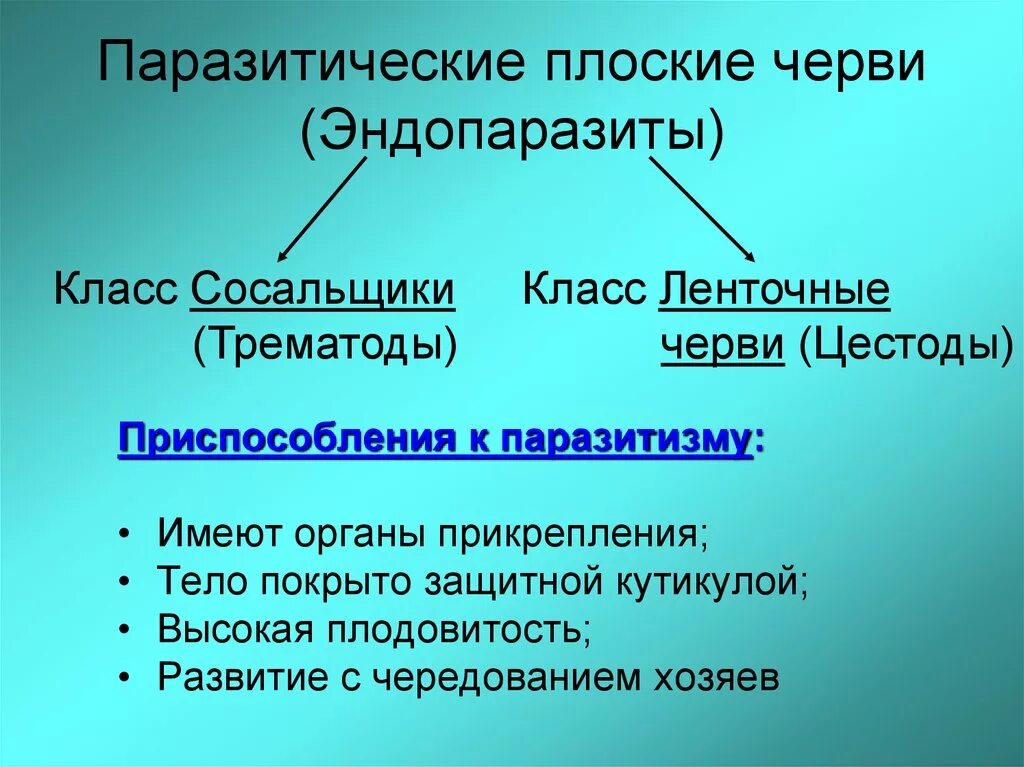 Почему высокая плодовитость. Приспособления плоских червей к паразитическому образу. Паразитическиеплосуиечерви. Паразитические плоские черви приспособления. Приспособления плоских червей.